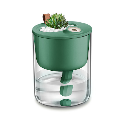 布谷 (BUGU) 桌面加湿器 内置DIY盆栽微景观盒 BG-HD21