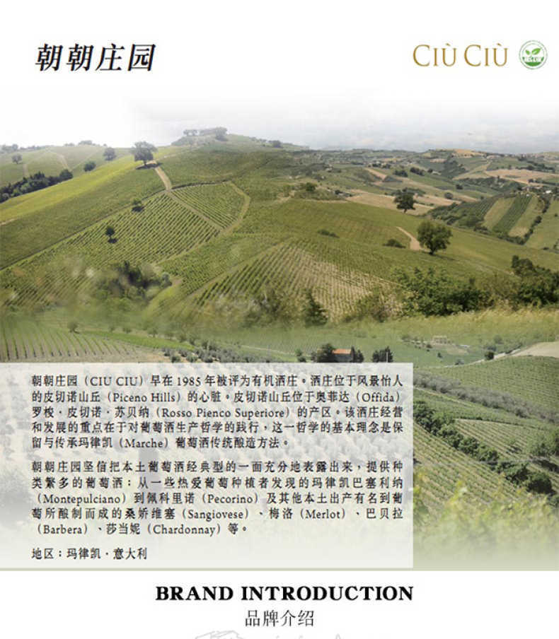 商品详情