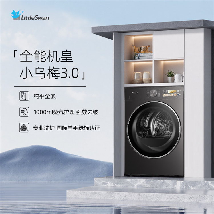 小天鹅小乌梅3.0 10KG烘干机干衣机 精密过滤 AI判干 TH10VE40