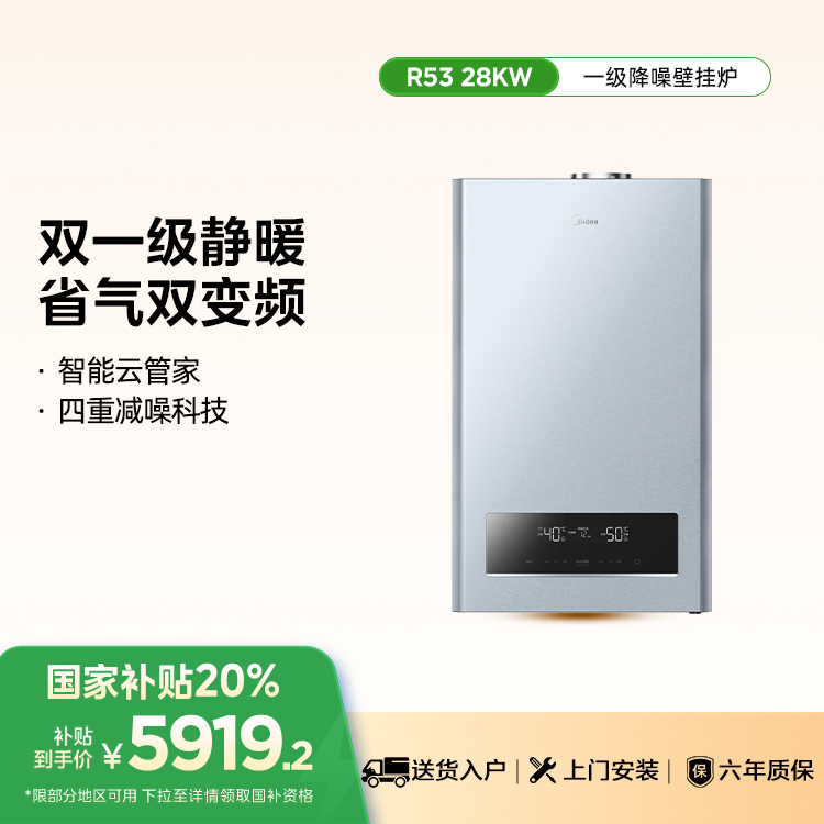 LL1PBD28-R53 冷凝式燃气采暖热水炉 榭湖银 天然气12T